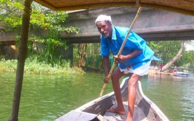 Palm-Tree-backwaters-boatman-web-400.jpg#asset:383