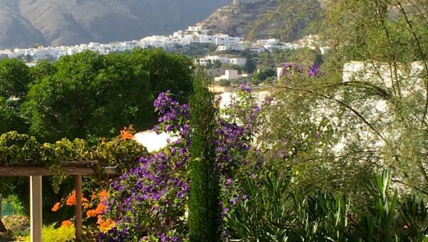 gardens-and-view-2MB-600x340.jpg#asset:424