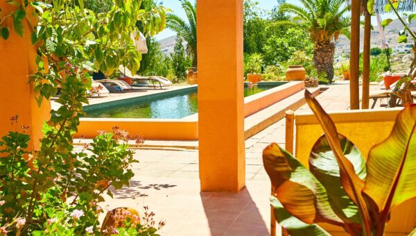 pool-and-palm-600x340.jpg#asset:419