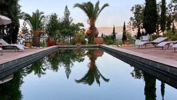still-pool-and-palm-2MB-600x340.jpg#asset:421